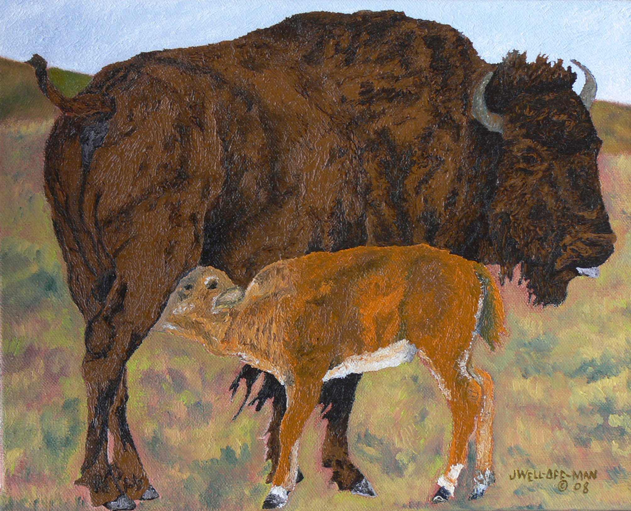 Buffalo and Calf