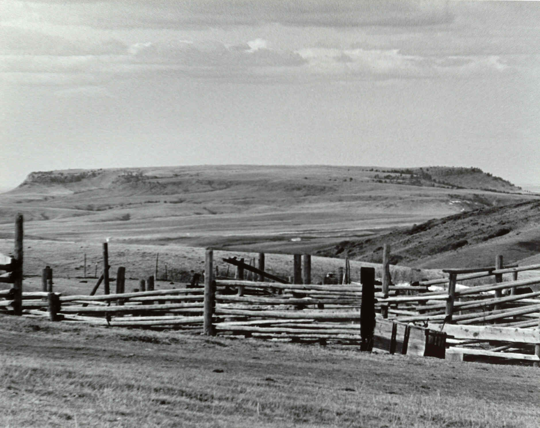 Corral