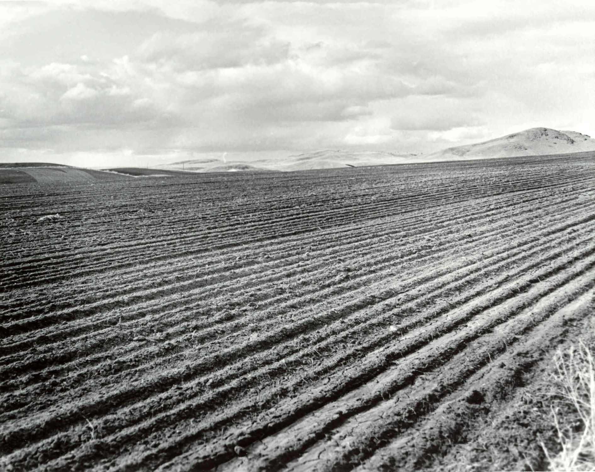 Field