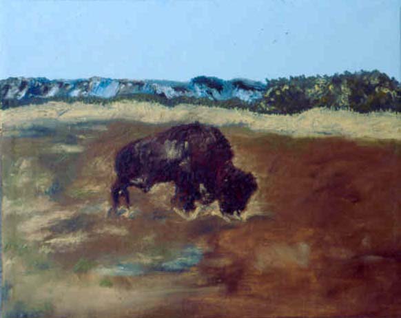 Loma Buffalo