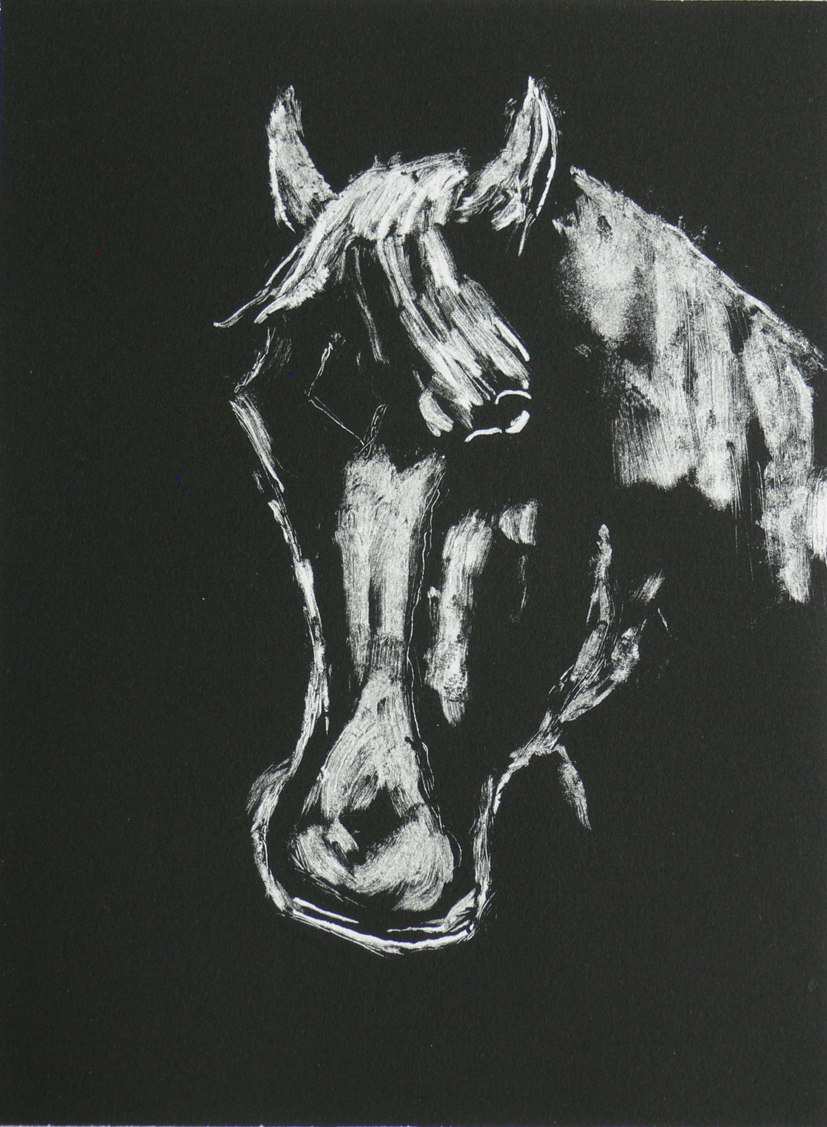 The Favored Horse