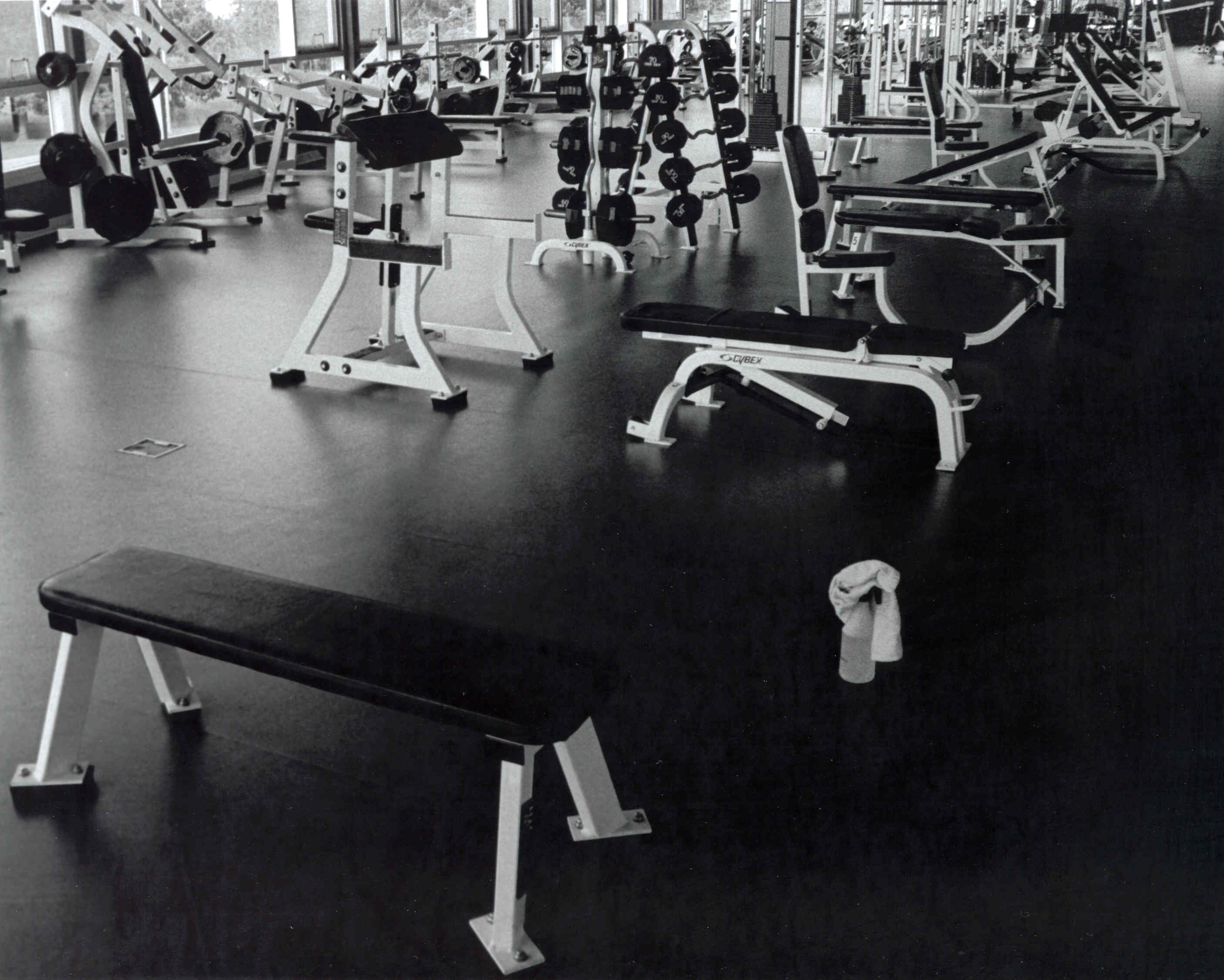 Torture Racks